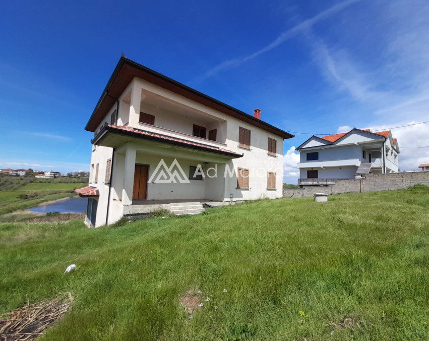 VILE NE SHITJE + TOKE