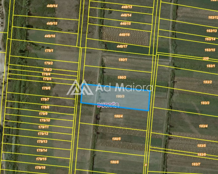 SHITET TOKE 900 METRA LARG  DETIT