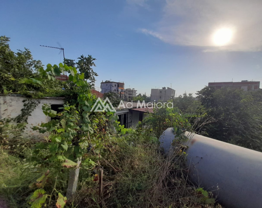 SHITET TOKE TRRUALL NE SHKOZET