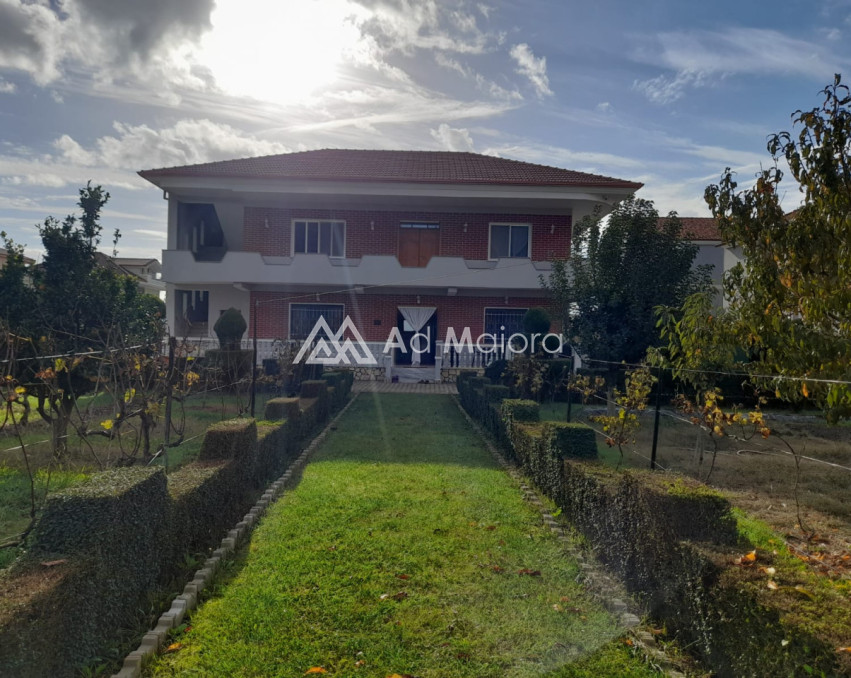 SHITET VILE NE XHAFZOTAJ