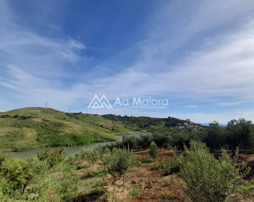 SHITET TOKE NE GOLEM