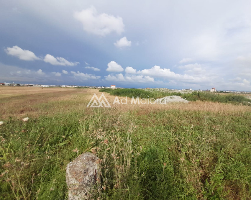 SHITET TOKE OKAZION PRANE UNIVERSITETIT