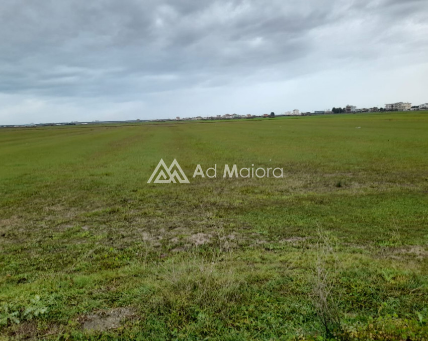 SHITET TOKE NE FLLAKE