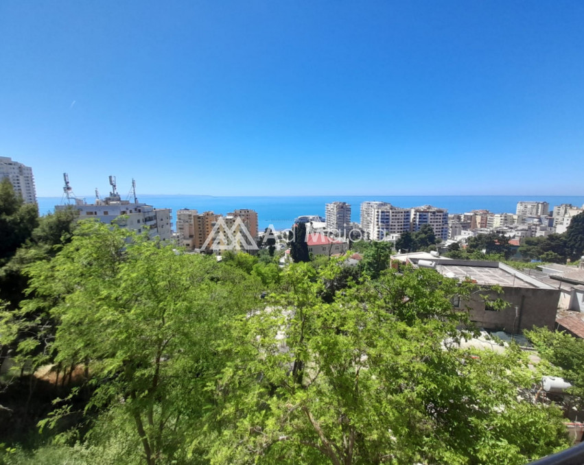 SHITET APARTAMENT ME PAMJE NGA DETI