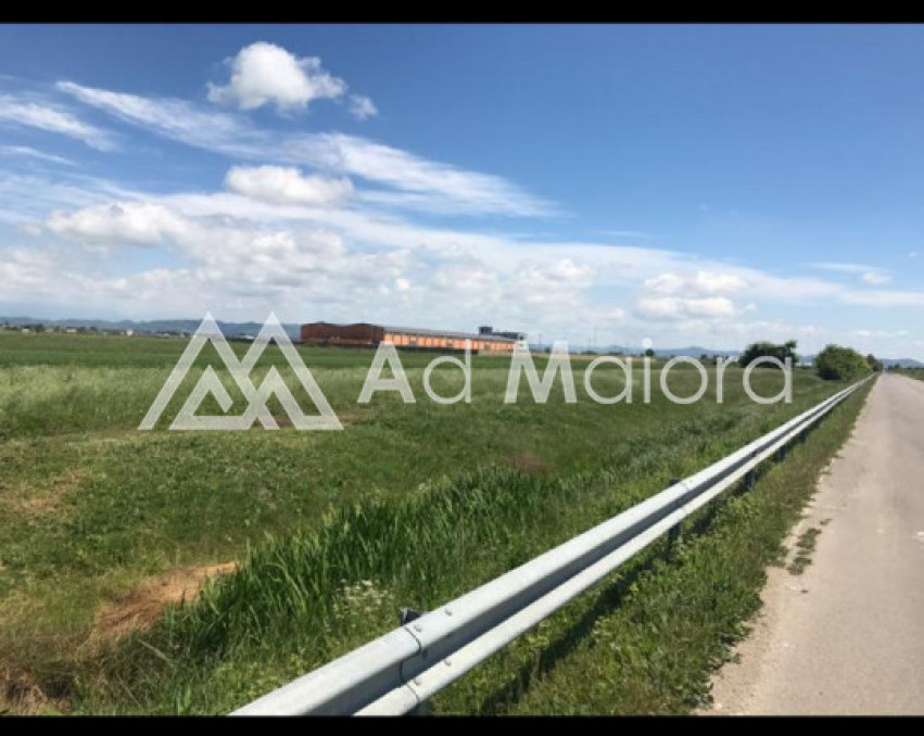 Shitet Toke ne Qerret